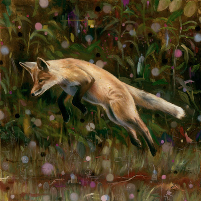 HMüller - Jumping Fox