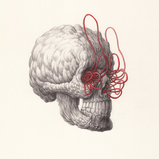 Nick Sheehy - Skull I