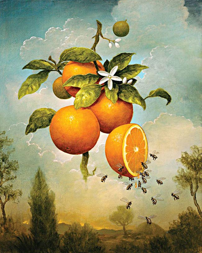 Kevin Sloan - Abundance (Oranges)