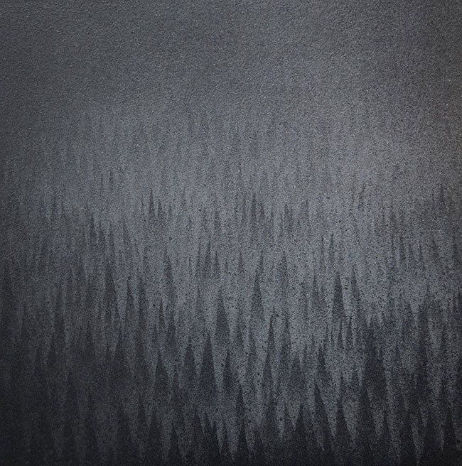 Lucas Allen Cook - Forest Darkness