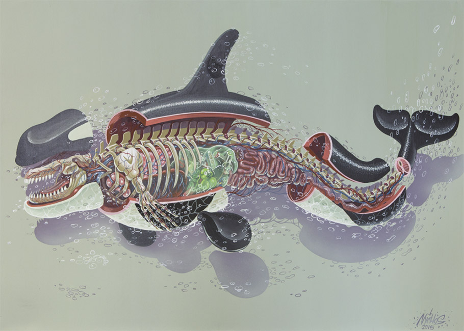 Nychos - Dissection of an Orca