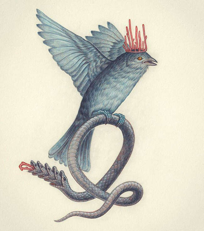 Nick Sheehy - Bird Snake