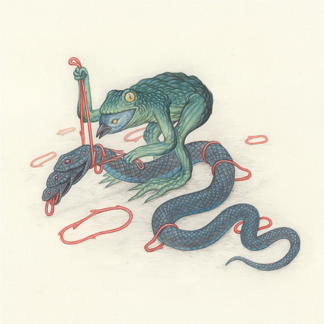 Nick Sheehy - Frog Bird Snake