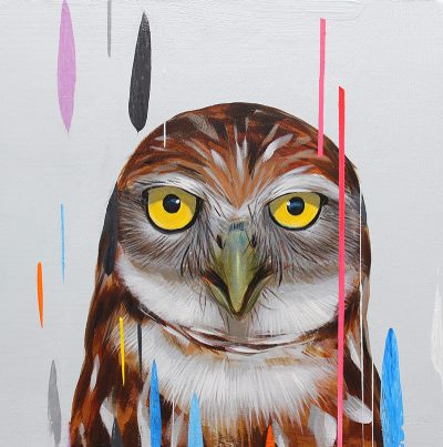 Frank Gonzales - Burrowing Owl