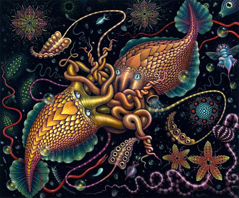 Robert Steven Connett - Cephalopods