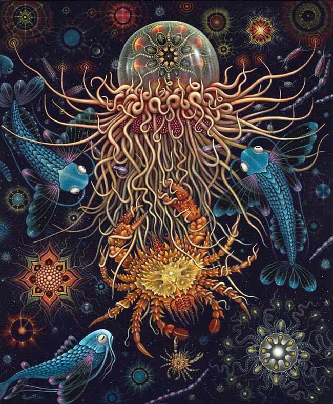 Robert Steven Connett - Medusae