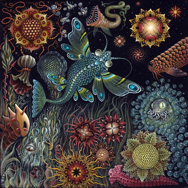 Robert Steven Connett - Star Fish