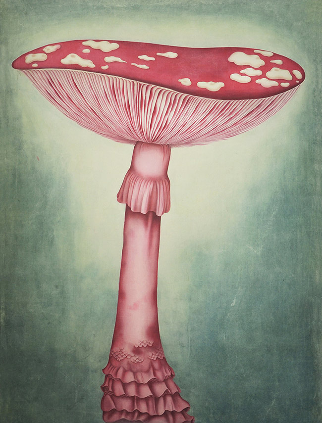 Alice Lin - A Huge Mushroom