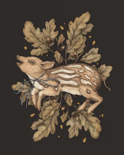 Jessica Roux - Almost Wild, Foundling