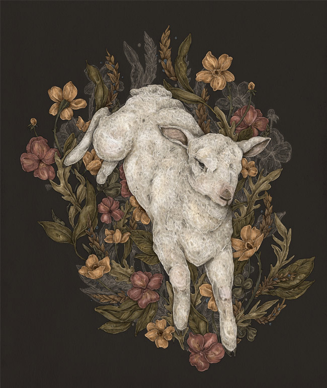 Jessica Roux - Lamb