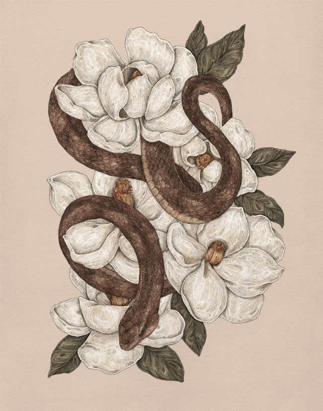 Jessica Roux - Magnolia Snake