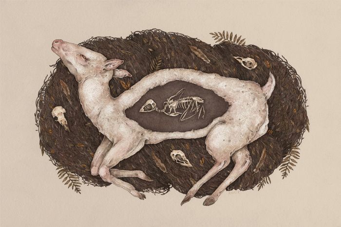 Jessica Roux - Predaceous Herbivore Ghost Deer