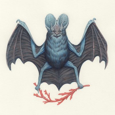 Nick Sheehy - Wizard Bat