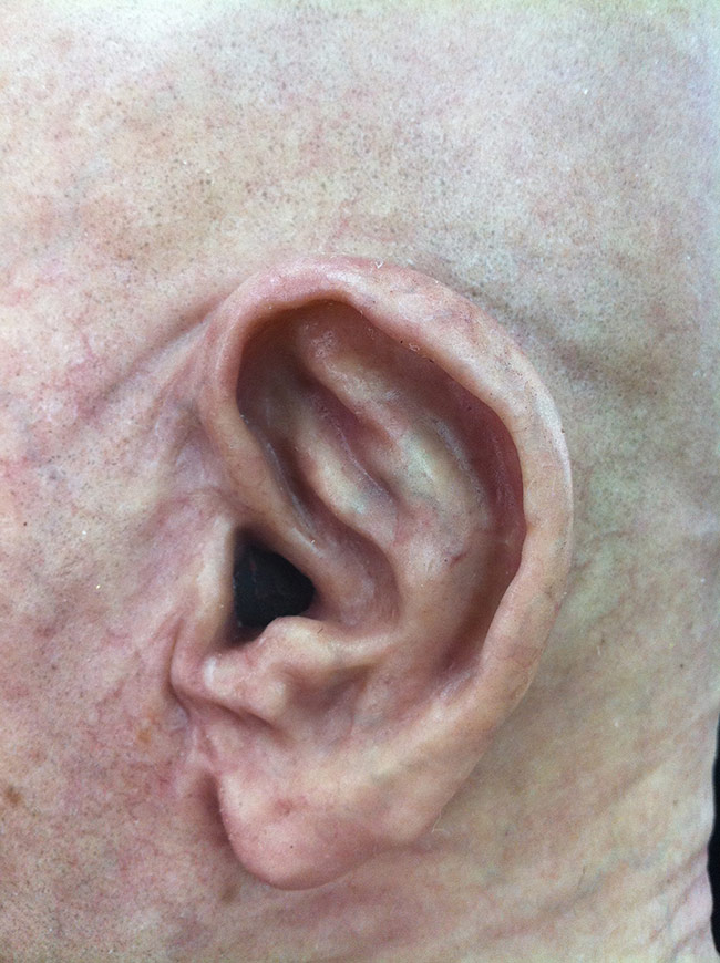 Victor LeBlanc - Old Man Skin Detail 2 (Airbrush and Silicone)