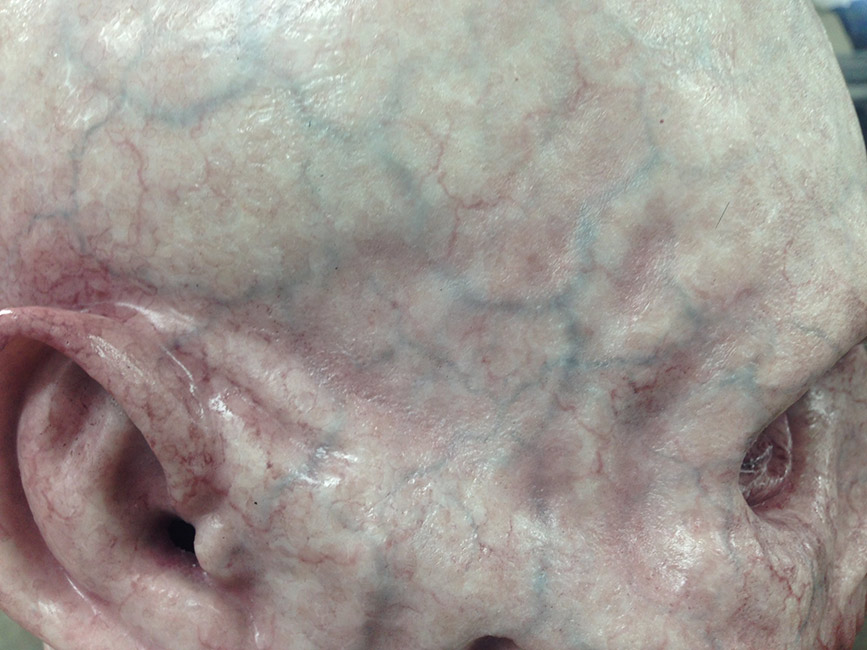 Victor LeBlanc - Painted Skin Texture (Silicone)