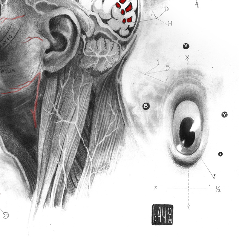 Bayo - Anatomy of a Broken Mind (Detail 2)