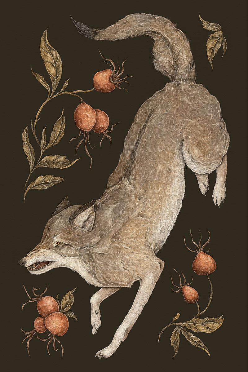 Jessica Roux - The Wolf and Rose Hip