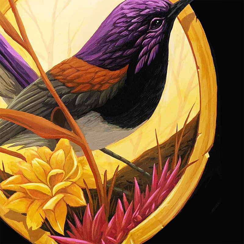 Andrew Ghrist - The Variegated Fairywren (Detail 2)