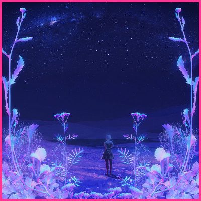 Xsullo - Nocturnal Bloom