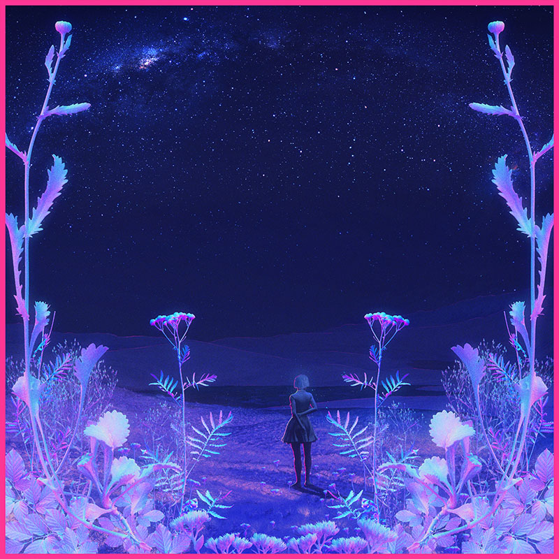 Xsullo - Nocturnal Bloom
