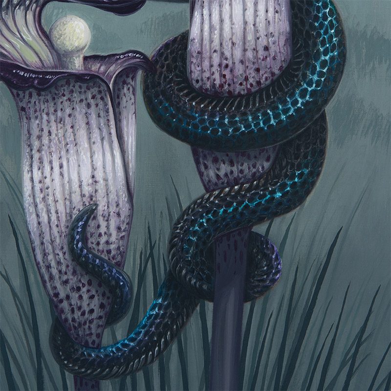 David Natale - Cobra Lily (Detail 2)