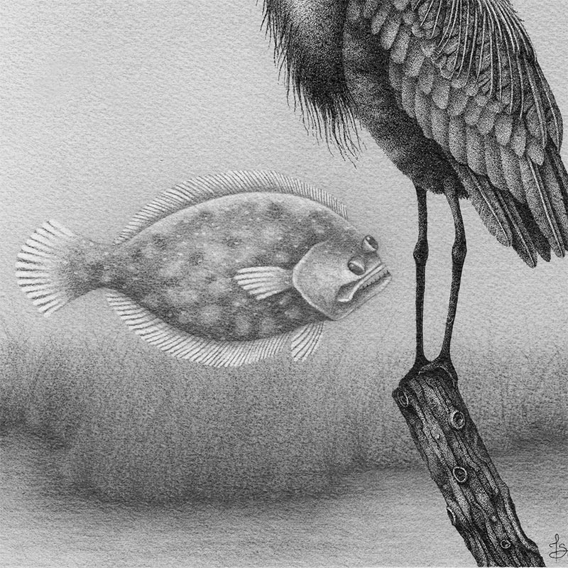 Juliet Schreckinger - Herman the Heron and his Flying Flounders (Detail 2)