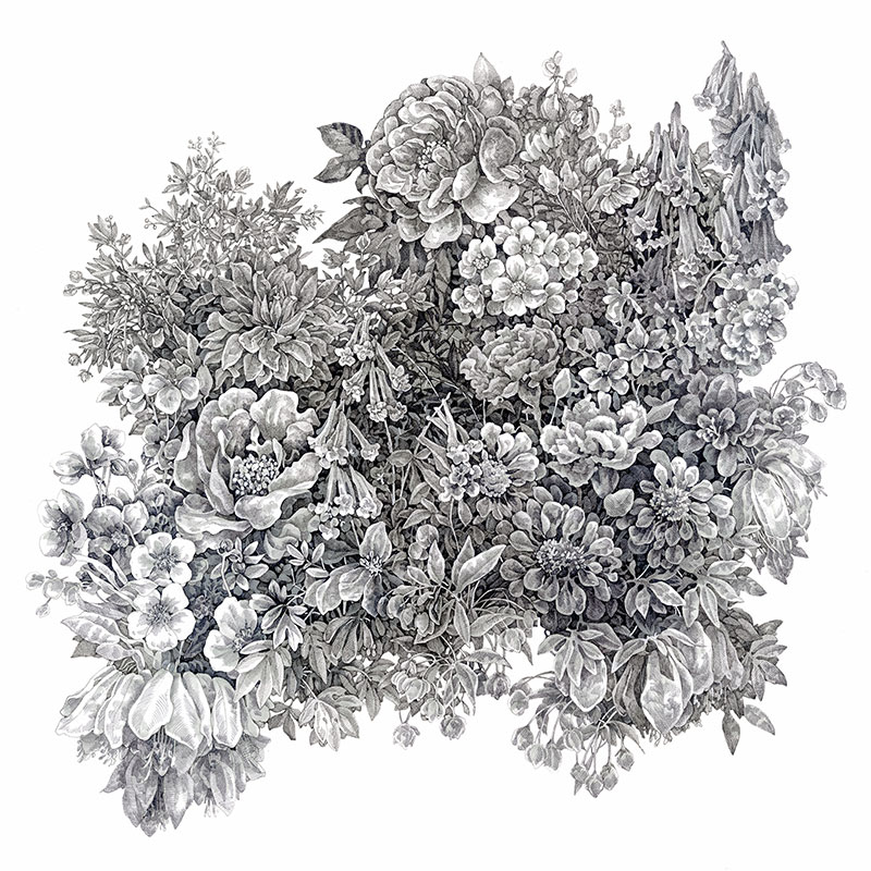 Song Kang - Gray Flowers