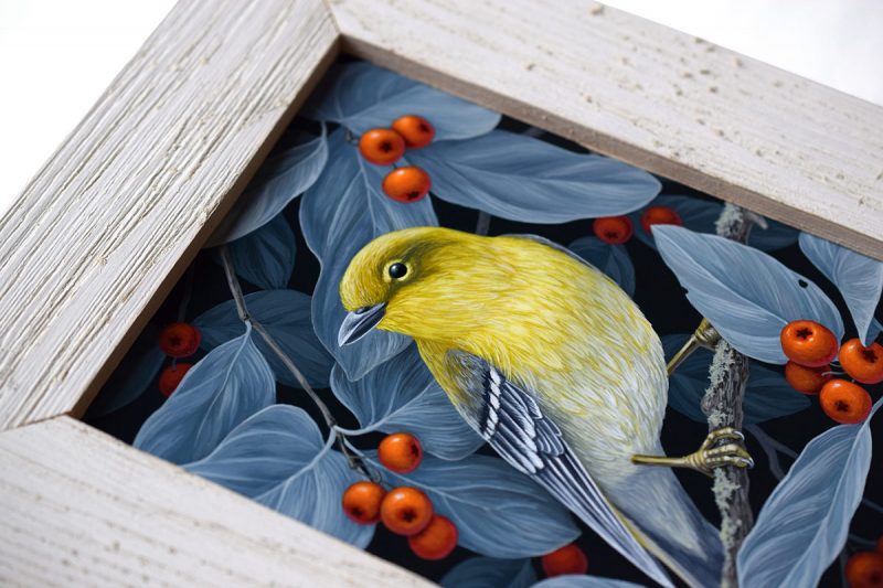 Vasilisa Romanenko - Pine Warbler (Frame Detail)