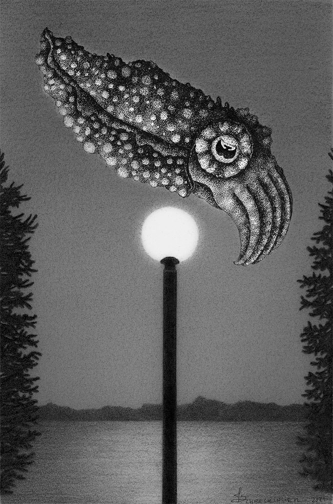 Juliet Schreckinger - Clarence the Cuttlefish and his Night Light