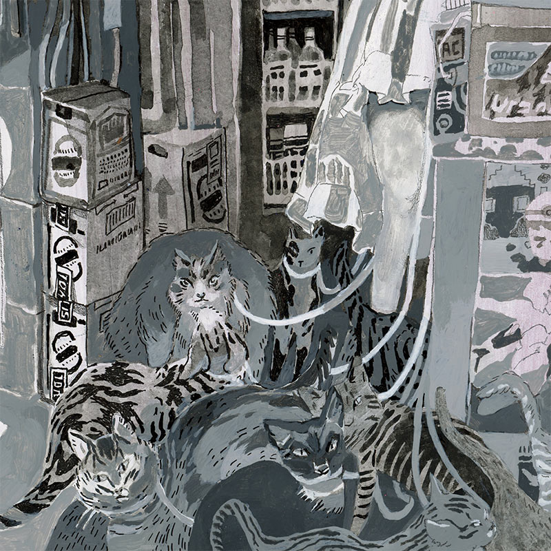 Savanna Judd - The Cat Lady (Detail 2)