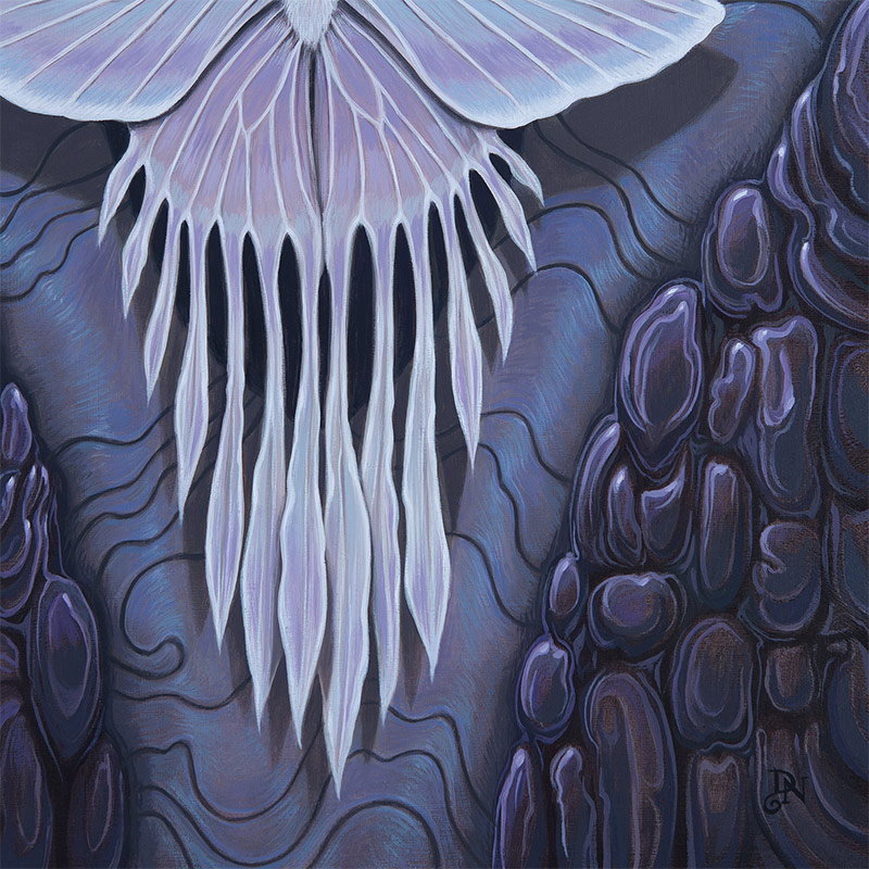 David_Natale - Iridescent Ghost Moth (Detail 2)