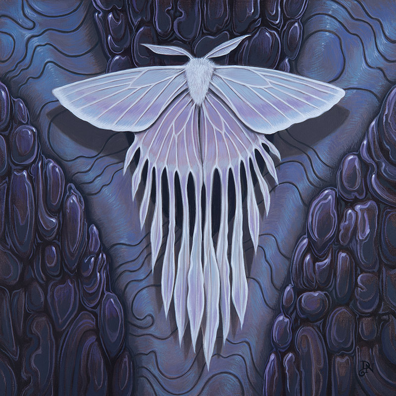 David_Natale - Iridescent Ghost Moth