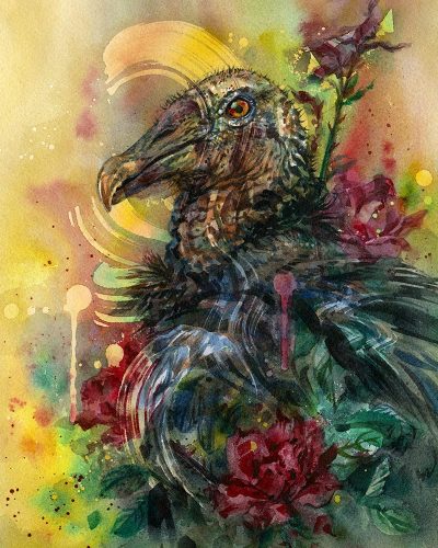 Joanna Barnum - Black Vulture Study