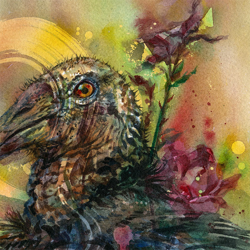 Joanna Barnum - Black Vulture Study (Detail 1)