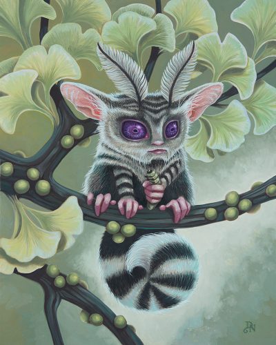 David Natale - Moth Lemur