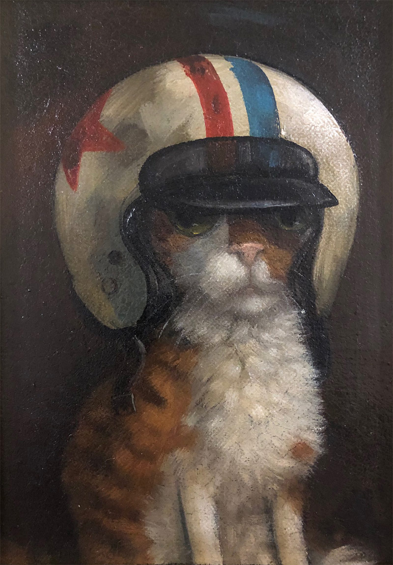 Alison Friend - Cat in a Crash Helmet (‘21)