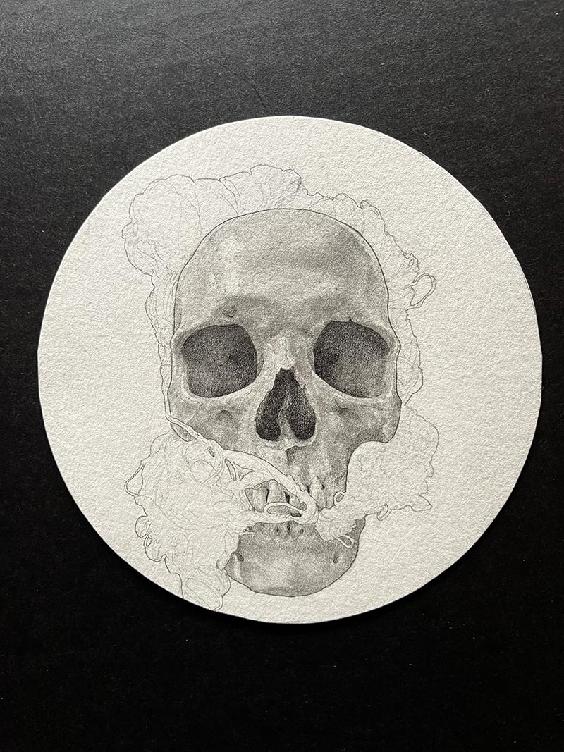 Adrian Cherry - Skull and Yarn Study