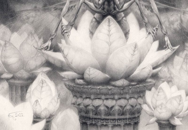 Petra Frankova - Lotus Mantideus (Detail 2)
