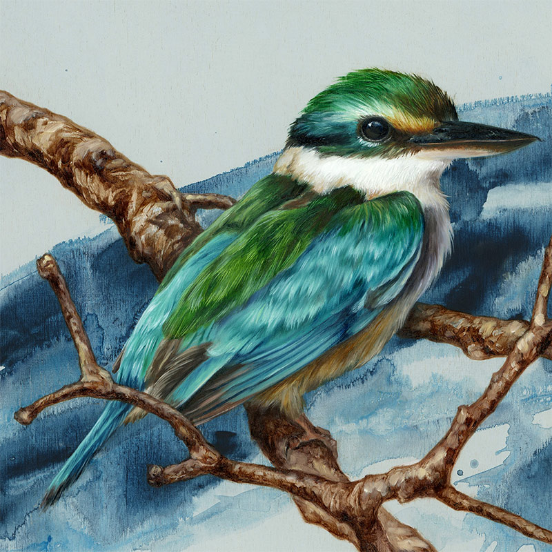 Alex Louisa - Sacred Kingfisher (Detail 1)