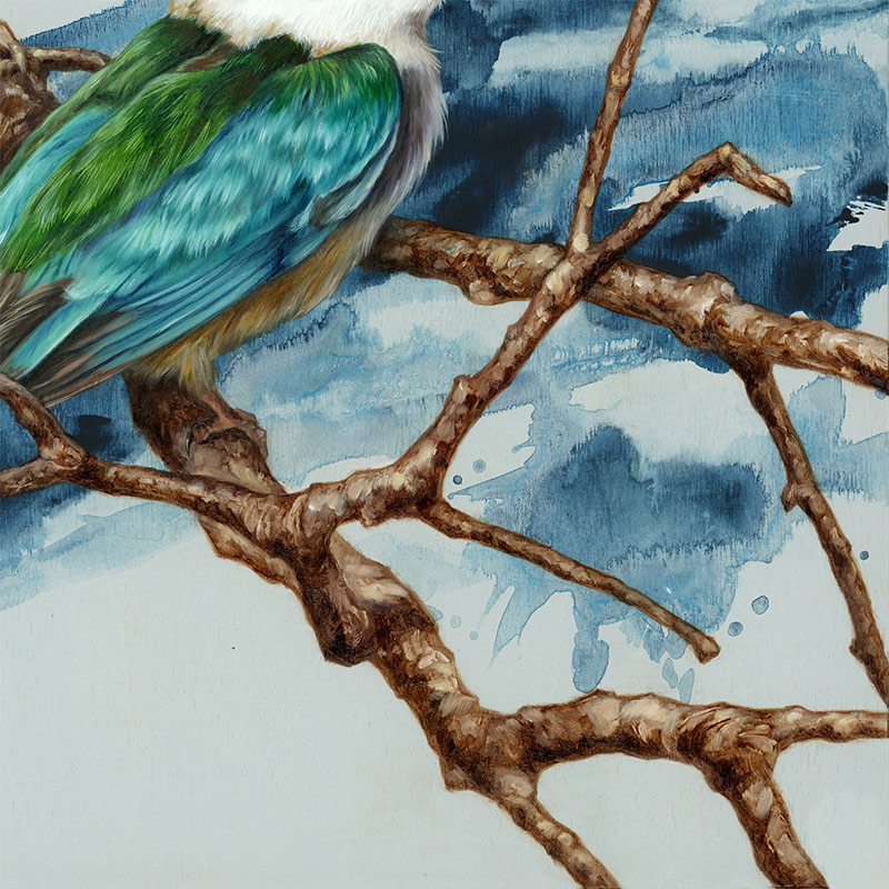 Alex Louisa - Sacred Kingfisher (Detail 2)