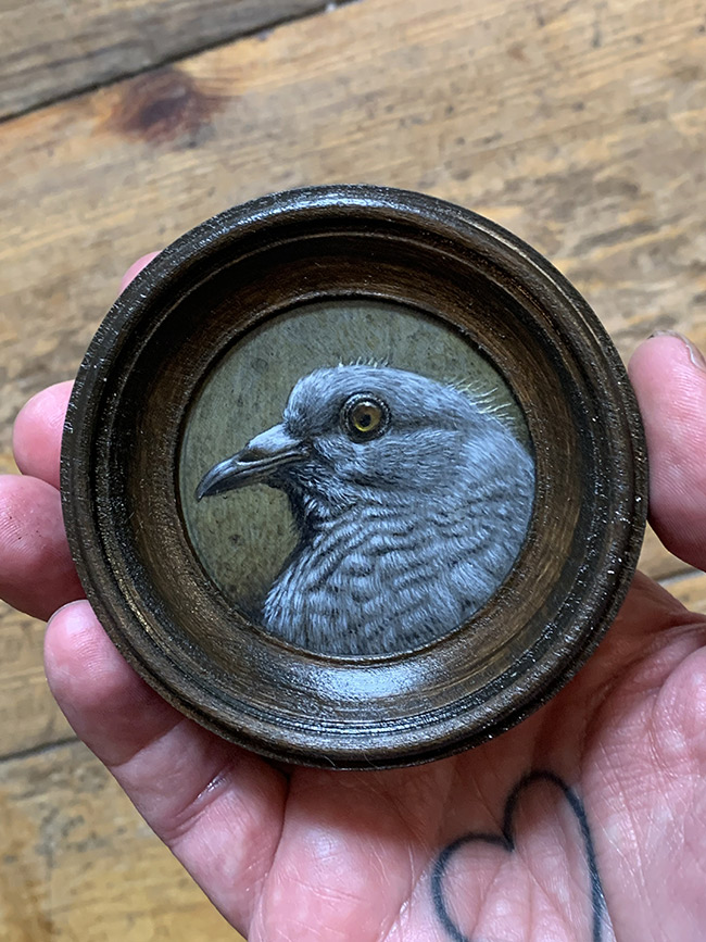 Jean Labourdette - Juvenile Pigeon (Scale)