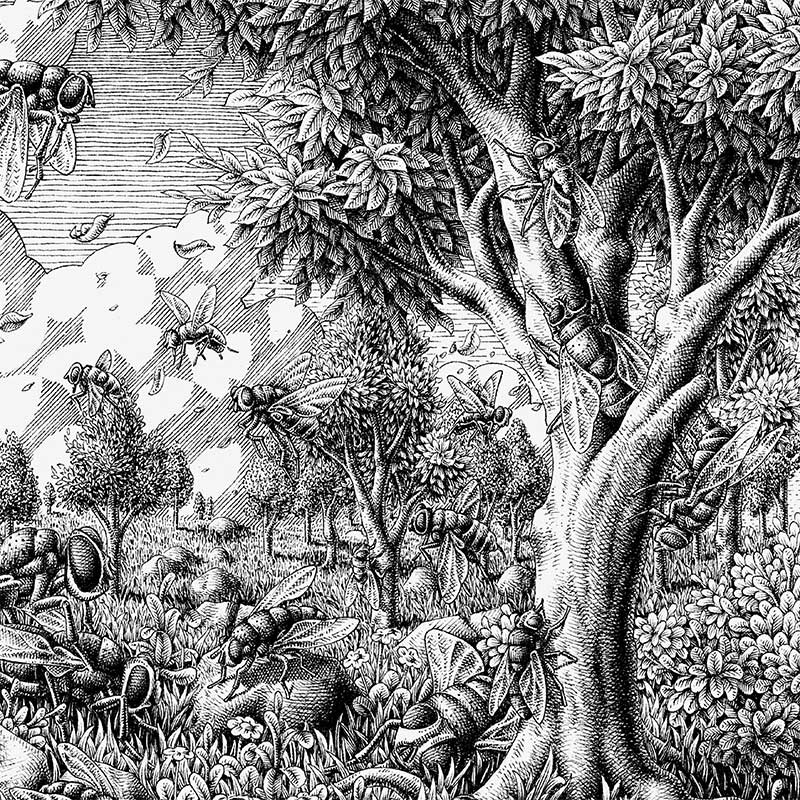 Michael Salvadori - Landscape and Flies (Detail 1)