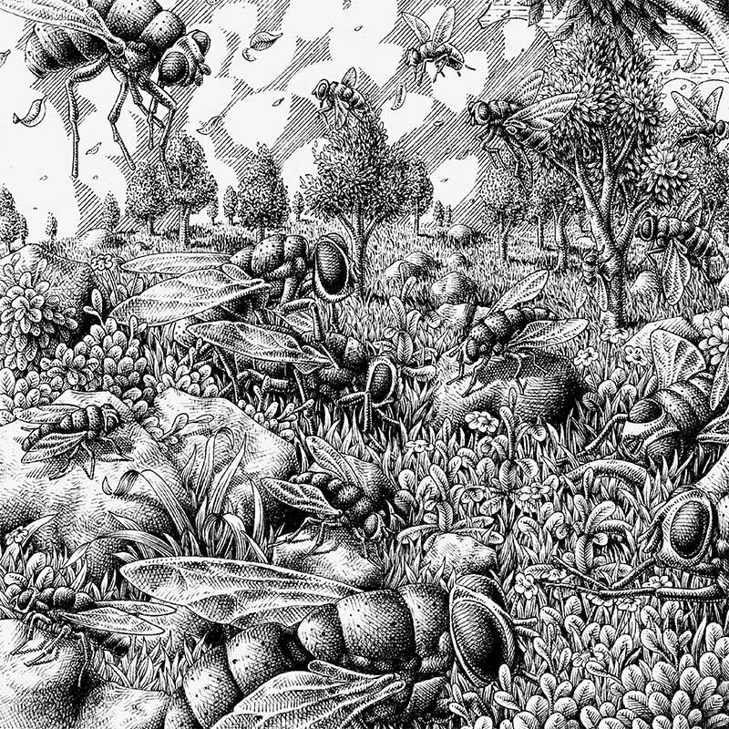 Michael Salvadori - Landscape and Flies (Detail 2)