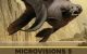 MicroVisions 5 - Flyer (Bill Mayer)