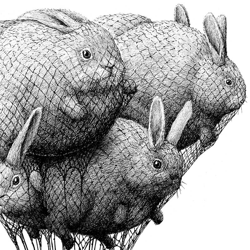 Redmer Hoekstra - Floating Rabbits (Detail 1)