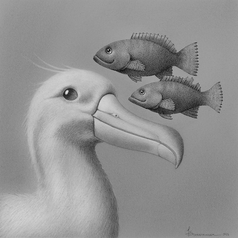 Juliet Schreckinger - Alfie the Albatross and his Fish Friends