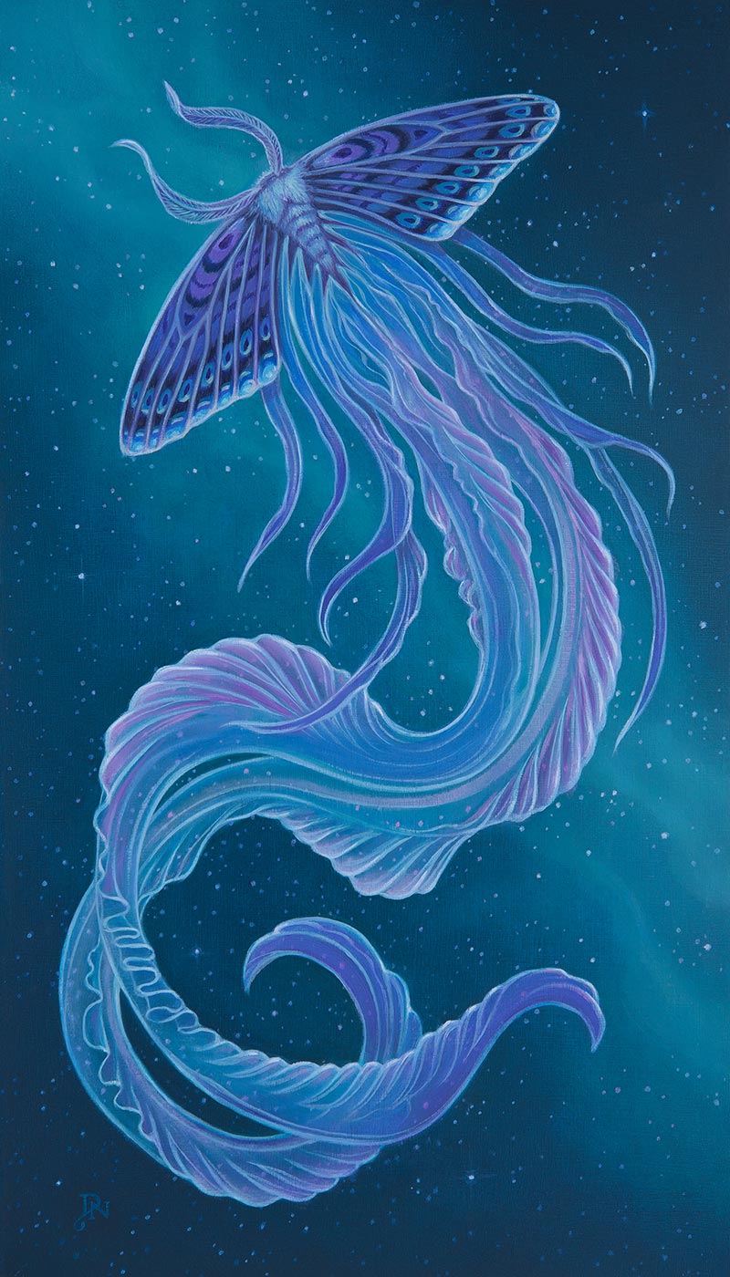 David Natale - Blue Nebula Moth