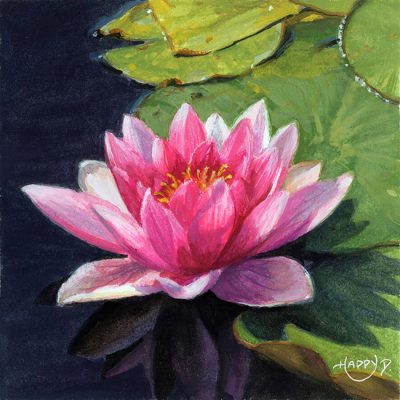 Happy D. - Serene Lotus