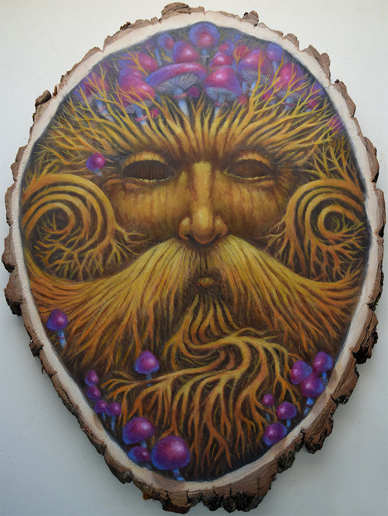 Adam S. Doyle - Old Man Oak of Winter Wood