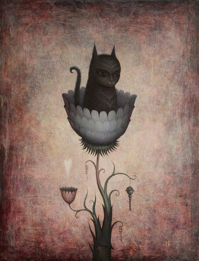 Paul Barnes - Cat Flower